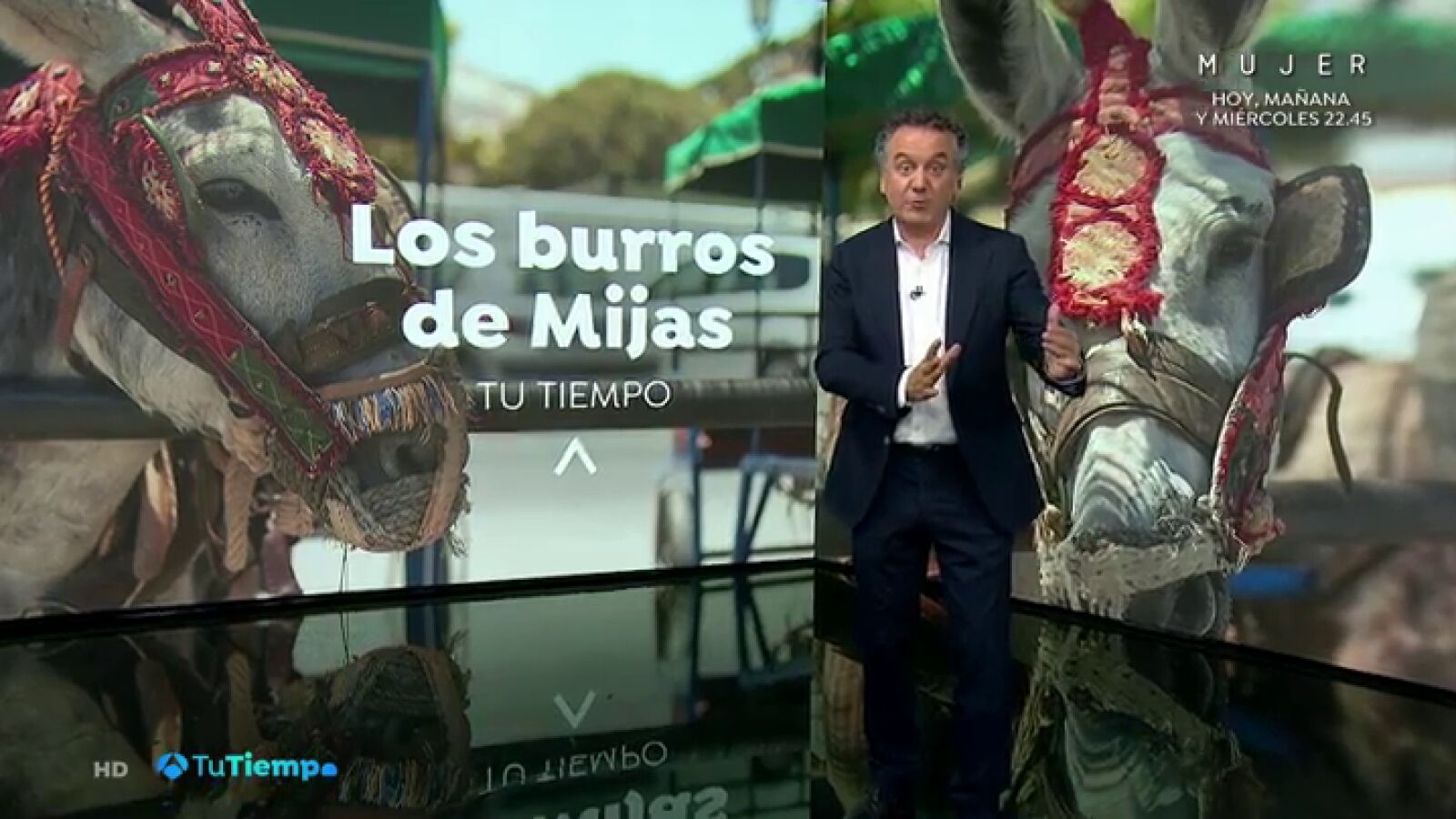 El burro taxi de Mijas, sin turistas por las restricciones