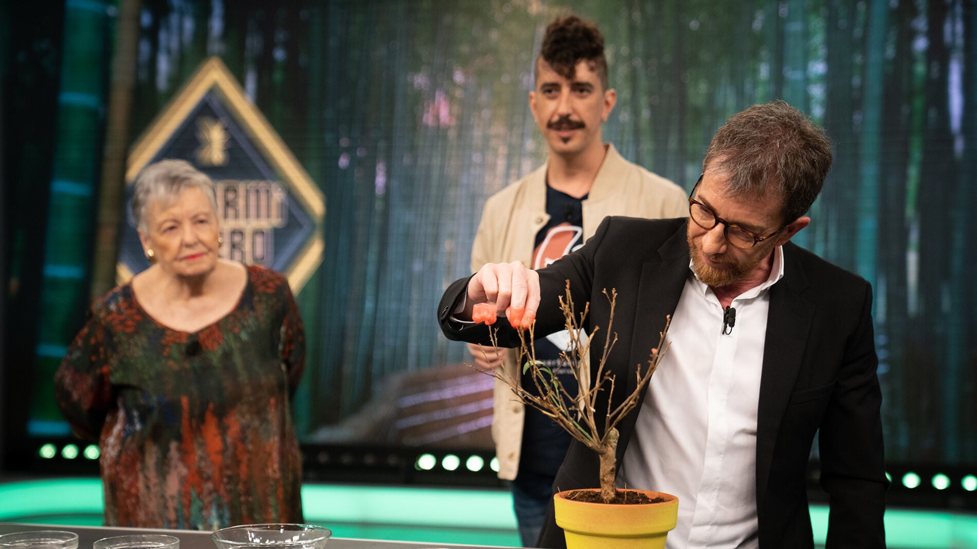 Mar&iacute;a Galiana alucina con las flores de cera de Marron
