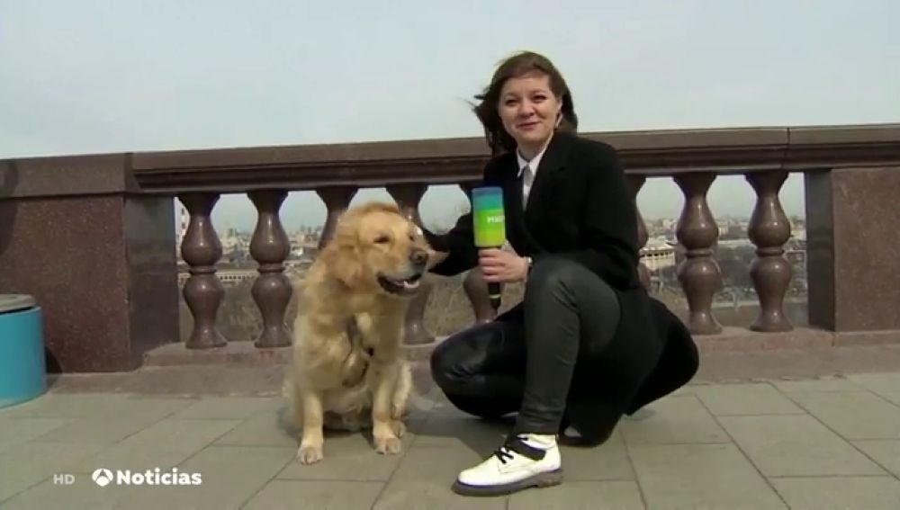 Un perro se abalanza sobre una reportera rusa y le quita el micrófono en pleno directo