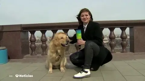 Un perro se abalanza sobre una reportera rusa y le quita el micrófono en pleno directo Un perro se abalanza sobre una reportera rusa y le quita el micrófono en pleno directo