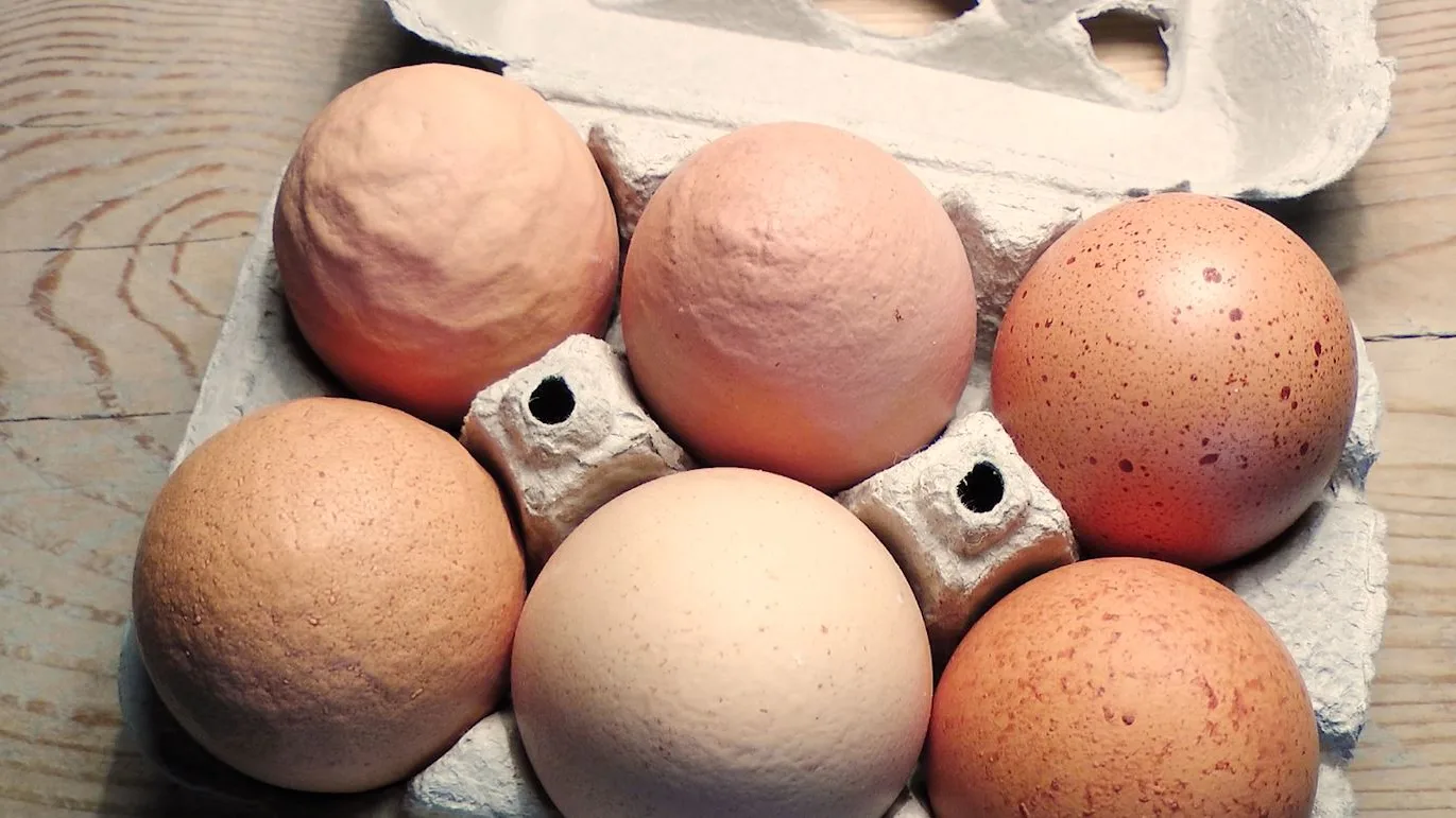 Huevos Huevos
