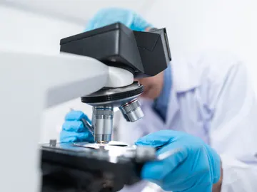 Investigación Investigación