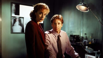Gillian Anderson y David Duchovny 
