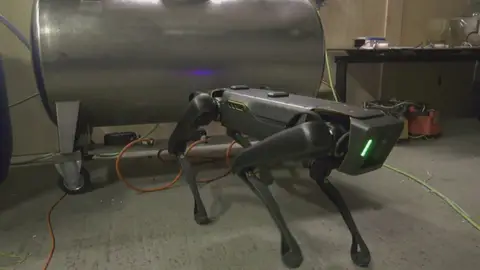 'Robodog', el nuevo robot policía en Países Bajos 'Robodog', el nuevo robot policía en Países Bajos