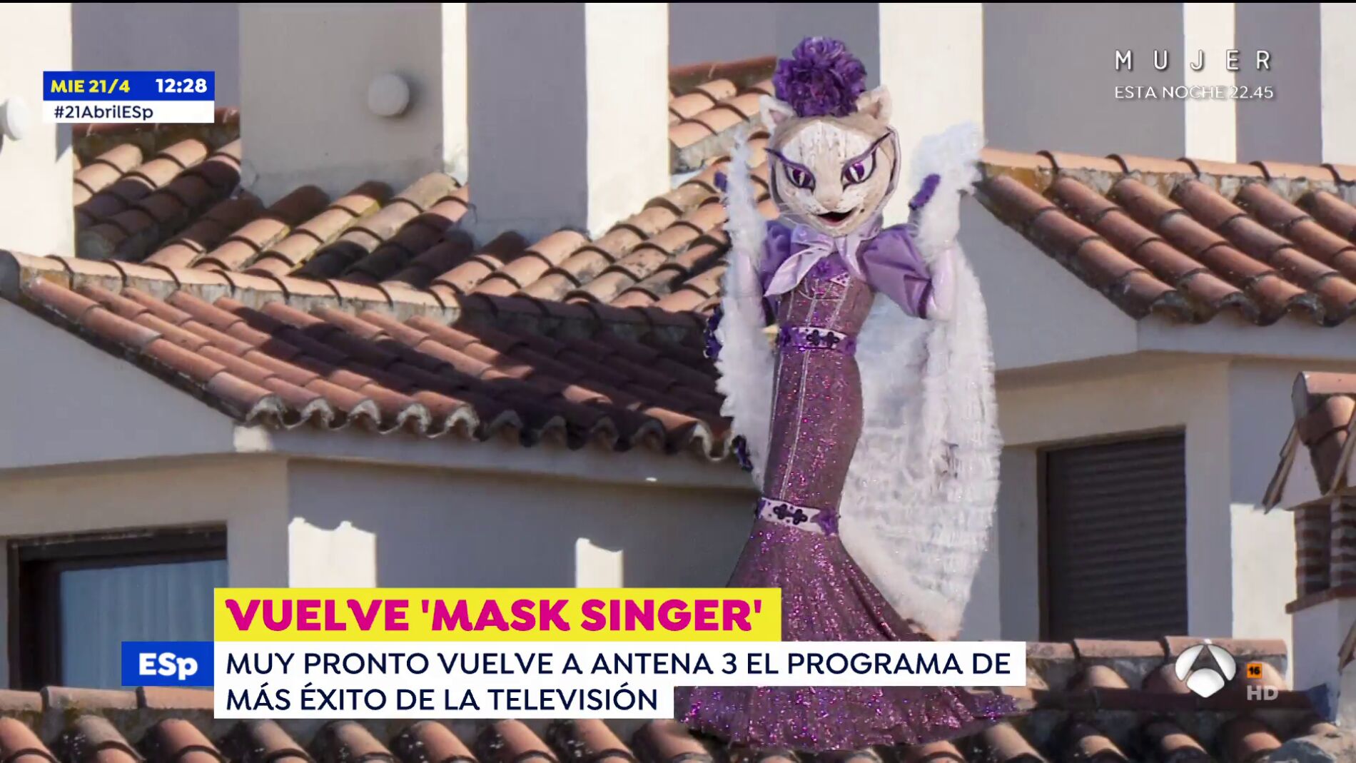 pista - gatita