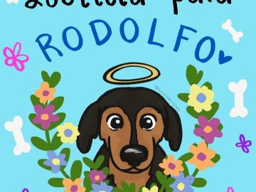 'Justicia para Rodolfo' la nueva oleada de indignación ciudadana por la muerte de un perro a machetazos