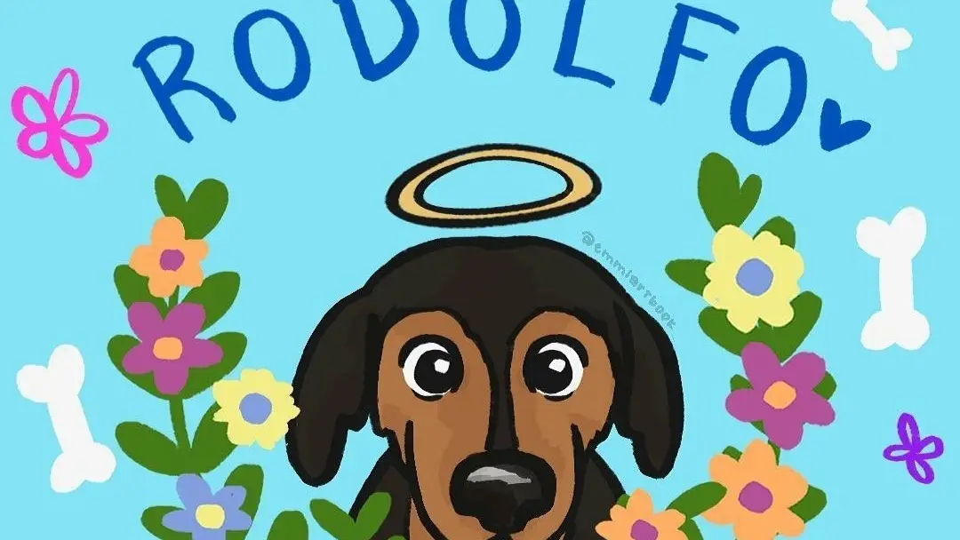 'Justicia para Rodolfo' la nueva oleada de indignaci&oacute;n ciudadana por la muerte de un perro a machetazos