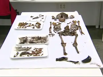 Hallan los restos de una niña de 5 años en la capilla del Alcázar de Sevilla Hallan los restos de una niña de 5 años en la capilla del Alcázar de Sevilla