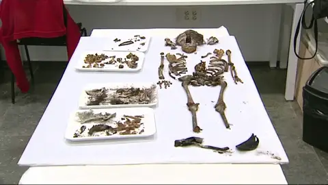 Hallan los restos de una niña de 5 años en la capilla del Alcázar de Sevilla Hallan los restos de una niña de 5 años en la capilla del Alcázar de Sevilla