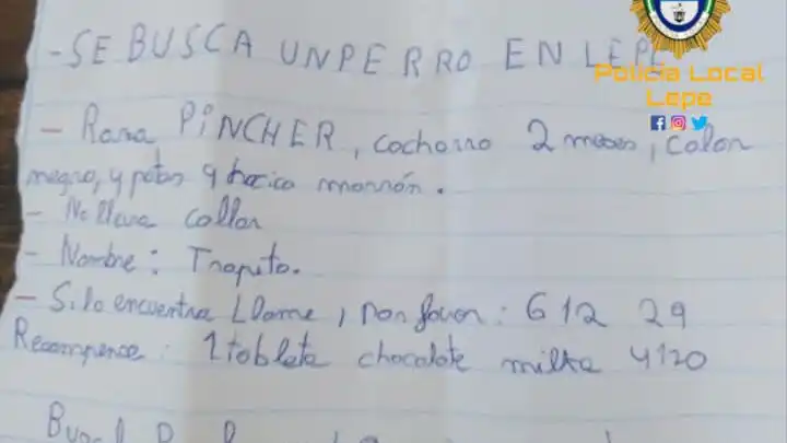 En busca de 'Trapito', el perro perdido de una niña de 12 años En busca de 'Trapito', el perro perdido de una niña de 12 años