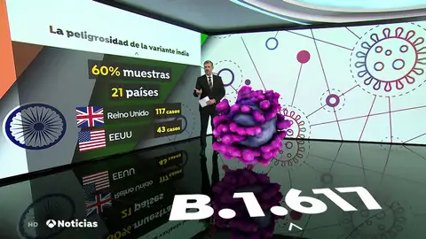 ¿Qué se sabe de la variante local del coronavirus en la India? ¿Qué se sabe de la variante local del coronavirus en la India?