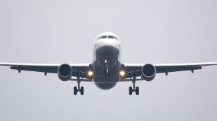 Avi&oacute;n 