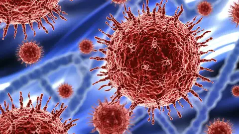 Cepas de coronavirus Cepas de coronavirus