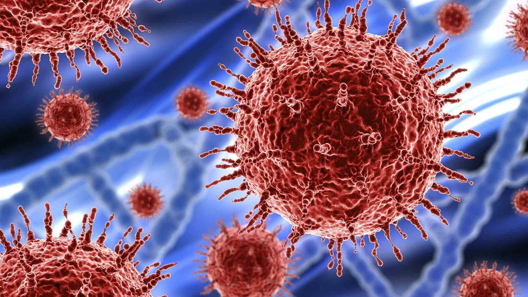 Cepas de coronavirus Cepas de coronavirus