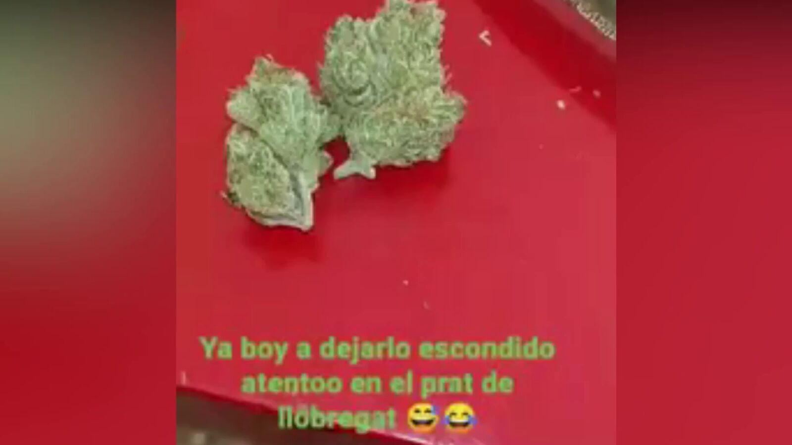 Detenido un joven que escondía droga en parques y se grababa en Tik Tok para captar clientes