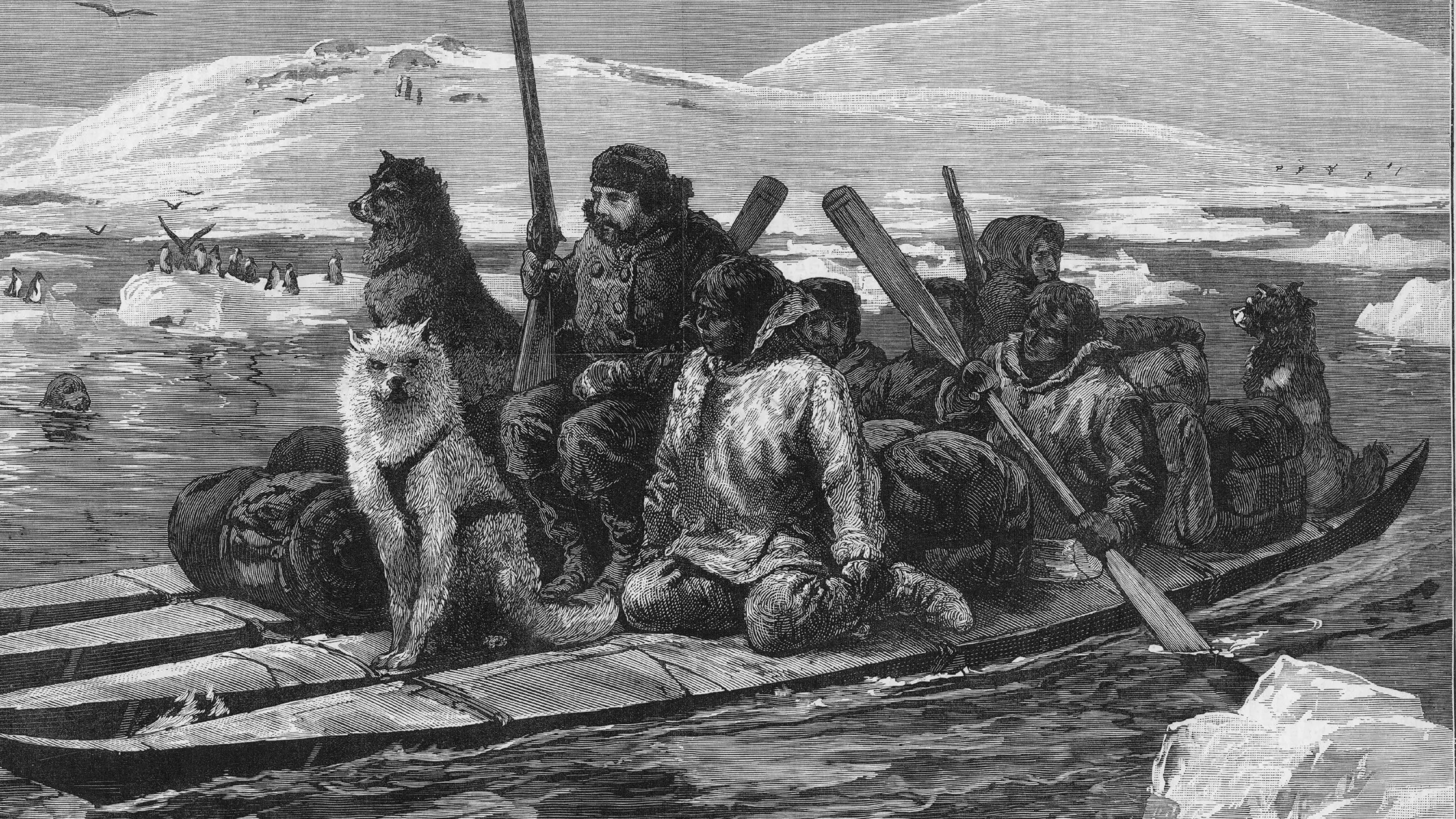 Identifican por ADN a un explorador de la fallida expedición de Franklin desaparecido en el Ártico en 1845 Identifican por ADN a un explorador de la fallida expedición de Franklin desaparecido en el Ártico en 1845