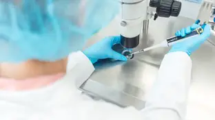 investigadora fecundación in vitro investigadora fecundación in vitro