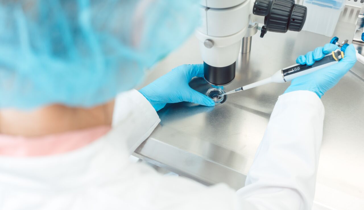 investigadora fecundaci&oacute;n in vitro