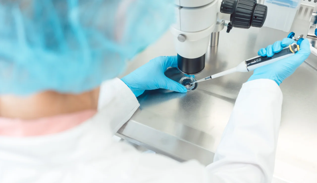 investigadora fecundación in vitro