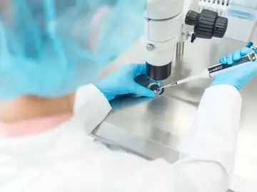 investigadora fecundación in vitro investigadora fecundación in vitro