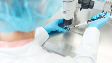 investigadora fecundación in vitro