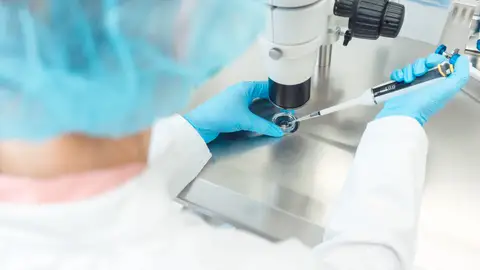 investigadora fecundación in vitro investigadora fecundación in vitro