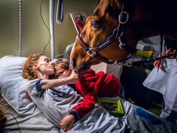 El increíble don del 'doctor Peyo', el caballo que detecta el cáncer