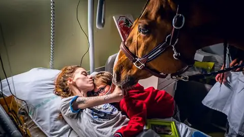 El increíble don del 'doctor Peyo', el caballo que detecta el cáncer El increíble don del 'doctor Peyo', el caballo que detecta el cáncer