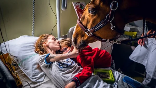 El increíble don del 'doctor Peyo', el caballo que detecta el cáncer El increíble don del 'doctor Peyo', el caballo que detecta el cáncer