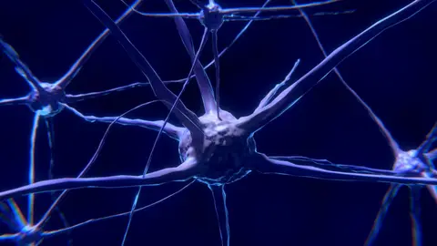 El coronavirus podría afectar a la materia gris del cerebro El coronavirus podría afectar a la materia gris del cerebro