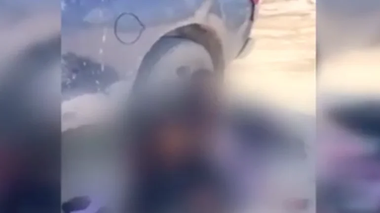 Bebé con teléfono escrito en el pañal en la frontera México y EE.UU Bebé con teléfono escrito en el pañal en la frontera México y EE.UU