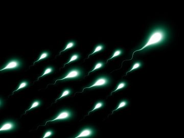 Cae el número de espermatozoides en todo el mundo, pero ¿afecta la fertilidad masculina?