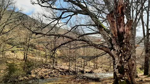 Cambio climático Cambio climático