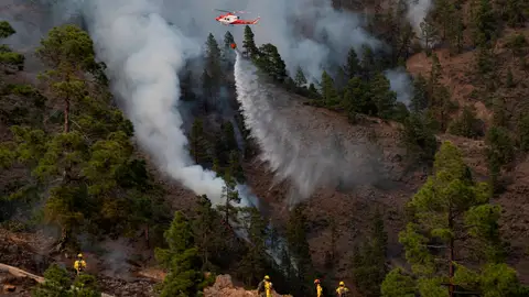 Dan por estabilizado el incendio de Tenerife que ha arrasado 3.300 hectáreas Dan por estabilizado el incendio de Tenerife que ha arrasado 3.300 hectáreas