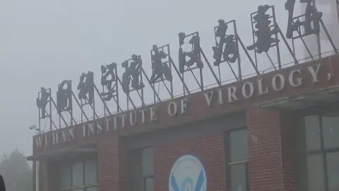 Wuhan covid Wuhan covid