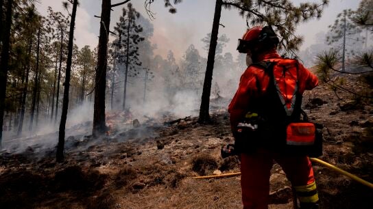 El gobierno de Canarias declara controlado el incendio de Tenerife y baja la emergencia a nivel 1