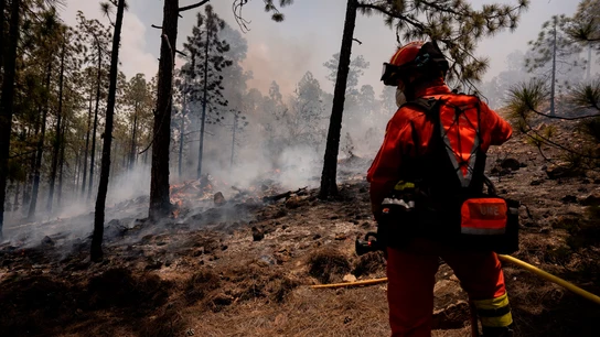 El gobierno de Canarias declara controlado el incendio de Tenerife y baja la emergencia a nivel 1 El gobierno de Canarias declara controlado el incendio de Tenerife y baja la emergencia a nivel 1