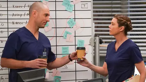 Richard Flood y Ellen Pompeo en 'Anatomía de Grey' Richard Flood y Ellen Pompeo en 'Anatomía de Grey'