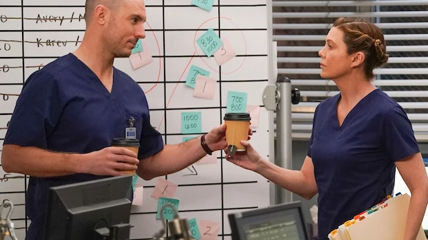Richard Flood y Ellen Pompeo en 'Anatom&iacute;a de Grey'