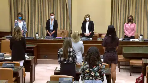Las diputadas de Vox se niegan a guardar un minuto de silencio por las víctimas de la violencia machista: "Es por todos los asesinados" Las diputadas de Vox se niegan a guardar un minuto de silencio por las víctimas de la violencia machista: "Es por todos los asesinados"