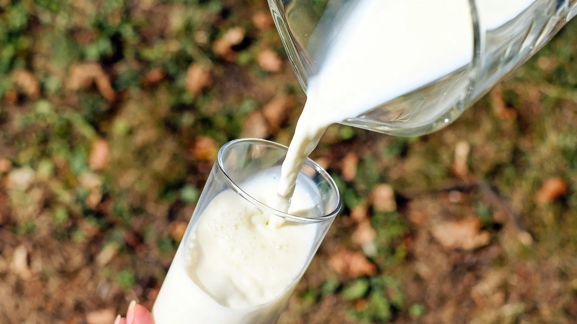 Leche de soja