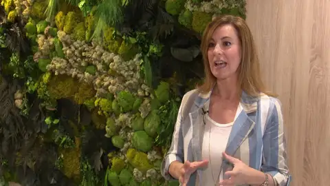 Declararle la guerra al plástico. Declararle la guerra al plástico.