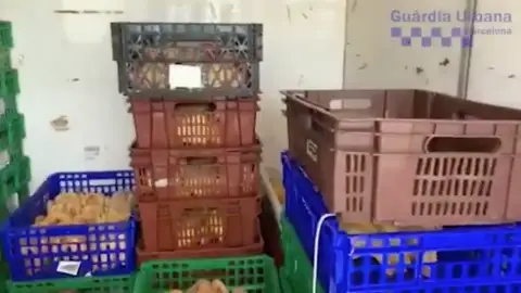 Carne apilada sin medidas sanitarias. Carne apilada sin medidas sanitarias.