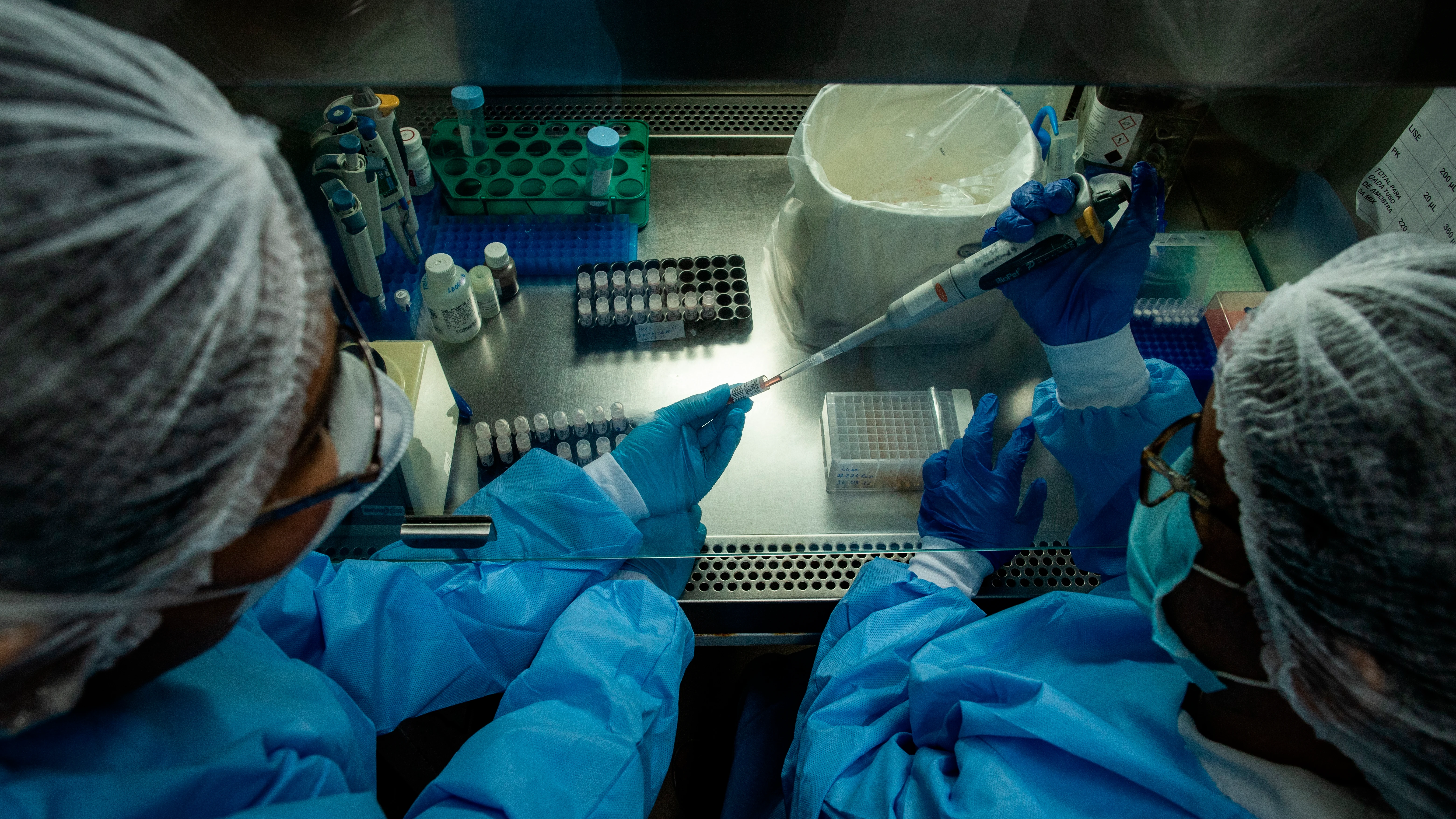 Laboratorio en el que se investigan las cepas de coronavirus Laboratorio en el que se investigan las cepas de coronavirus