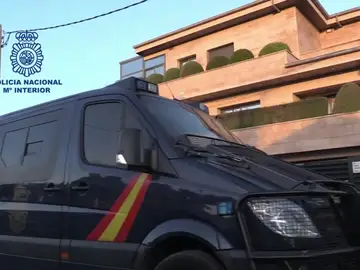 Localizan 23 animales disecados al desarticular un grupo criminal dedicado a la trata de personas en Barcelona Localizan 23 animales disecados al desarticular un grupo criminal dedicado a la trata de personas en Barcelona