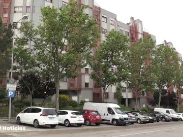 Hallan el cadáver descompuesto de una anciana en Madrid devorado por sus gatos 