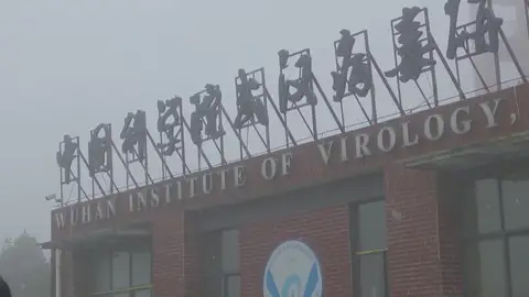 El espionaje británico ve "factible" que el coronavirus saliera de un laboratorio de Wuhan El espionaje británico ve "factible" que el coronavirus saliera de un laboratorio de Wuhan