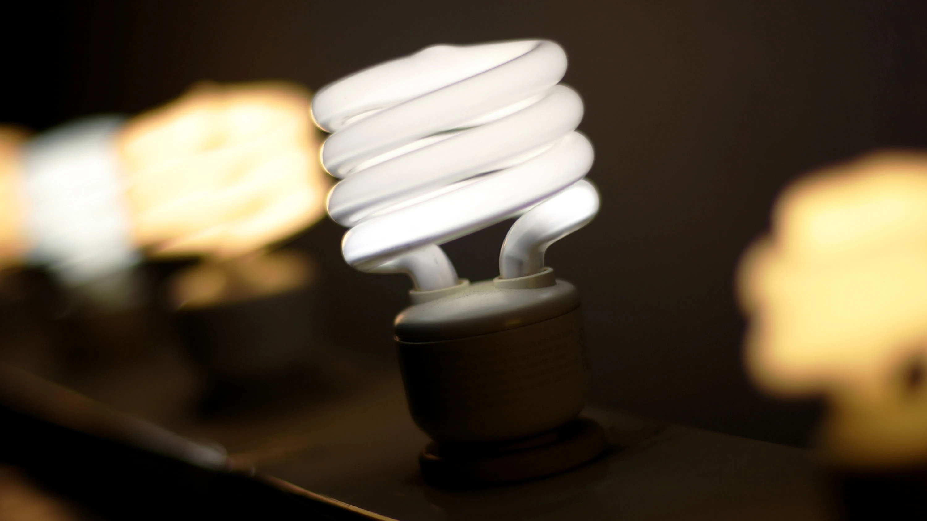 Bombillas encendidas con luz Bombillas encendidas con luz