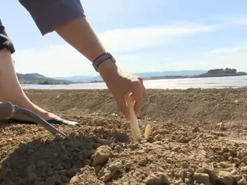 Pamplona, capital del turismo gastronómico Pamplona, capital del turismo gastronómico