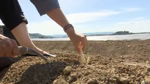 Pamplona, capital del turismo gastronómico Pamplona, capital del turismo gastronómico